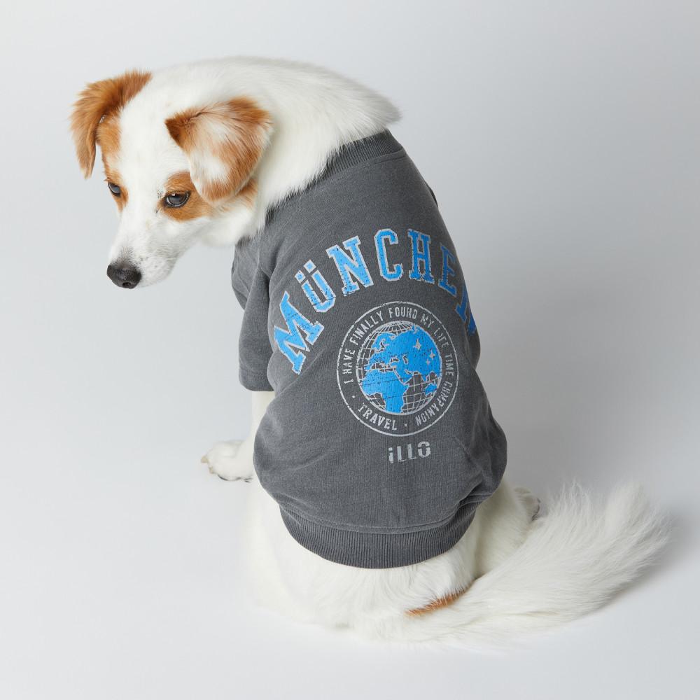 일로 시그니처 피그먼트 워싱 티셔츠 강아지 옷 맨투맨