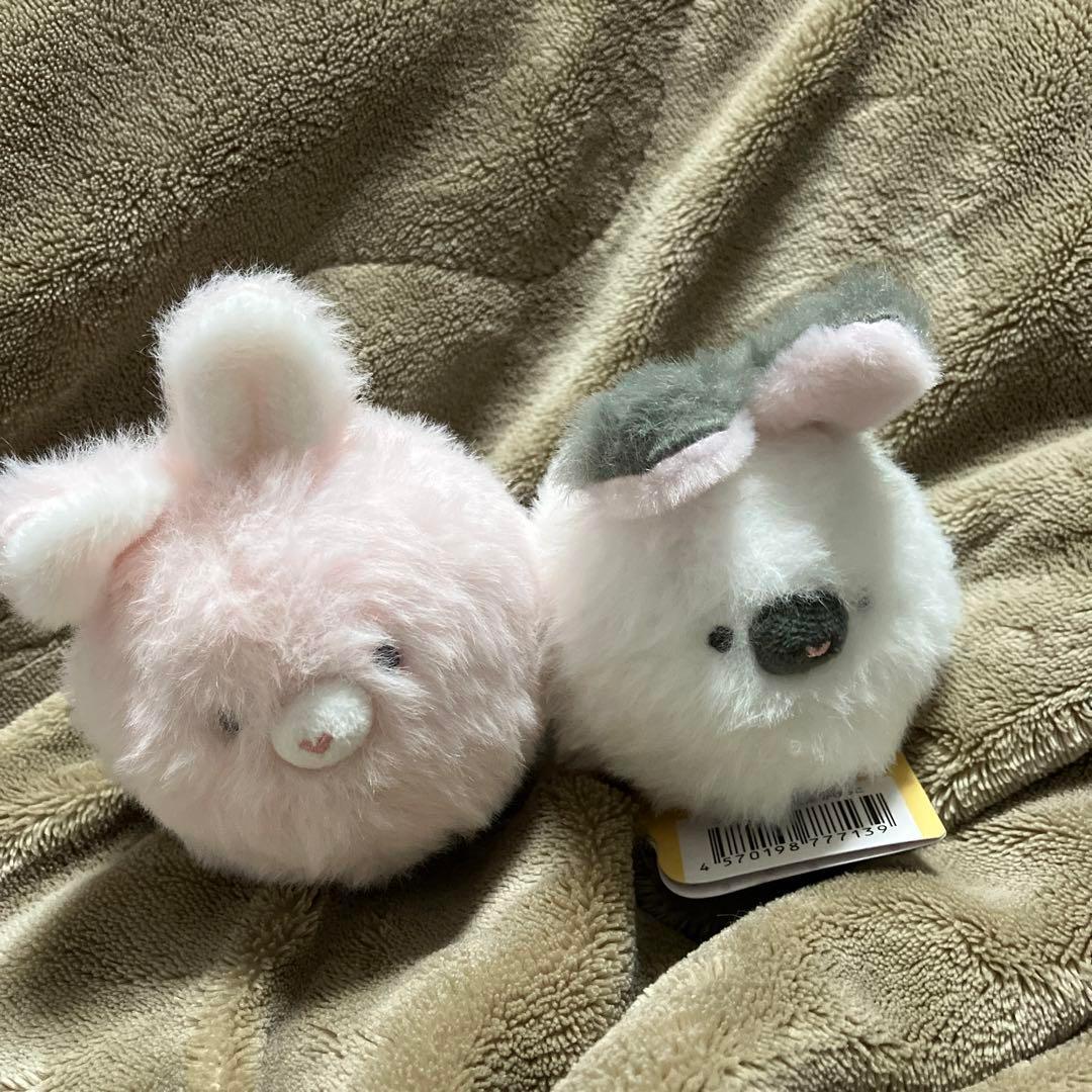 ぶるぶる！うさぴょん　かけっこ2種セット