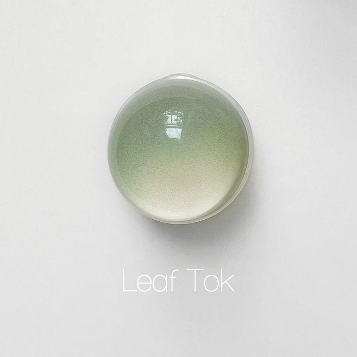 [스마트톡] Leaf Tok