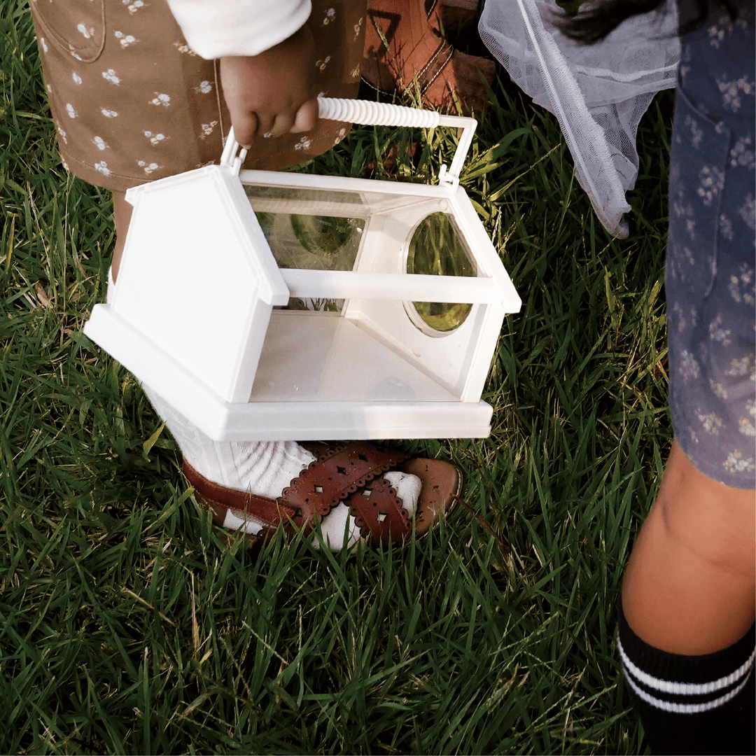 키즈 확대경 관찰통 KIDS OBSERVATION