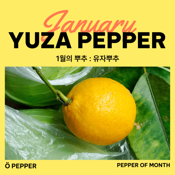 [1월 한정] 유자뿌추 YUZA PEPPER