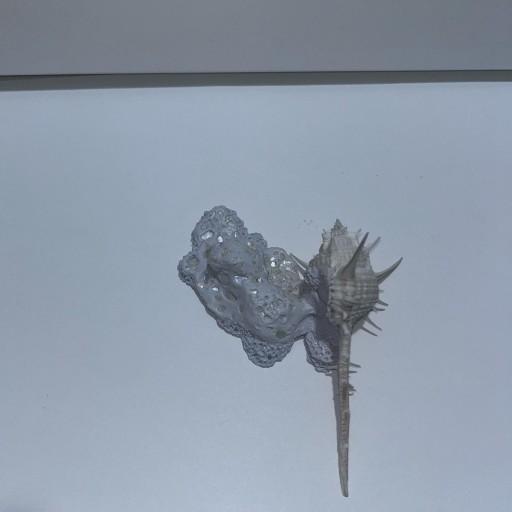 공명, 흐르는, 소라