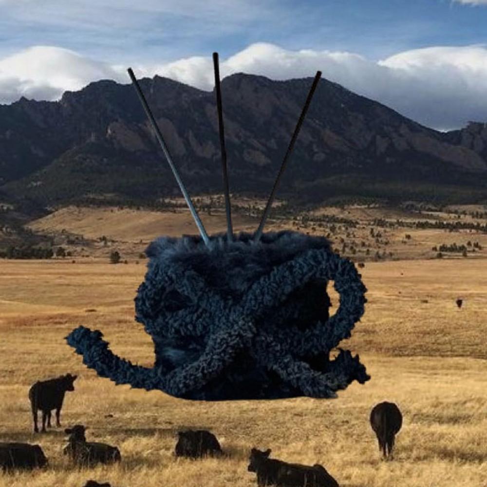 (a cote de moi)집퓨저 디퓨저, 블랙리본 퍼피집, 150ml