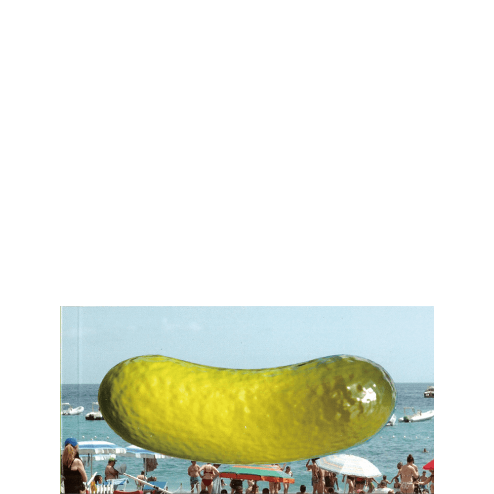 Pickle Book · 시시킴