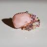 early blooming spring flower opal ring