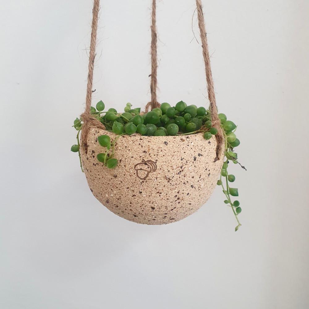 [DOTORY POT] 도토리 행잉팟