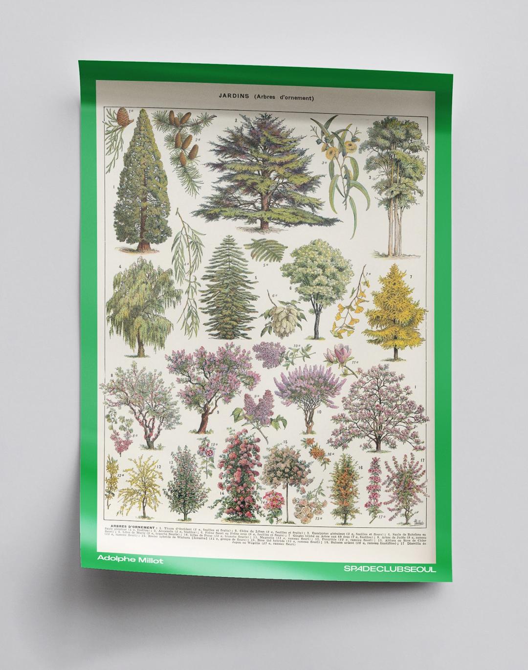 ADOLPHE MILLOT Poster - Green 아돌프 밀러 포스터