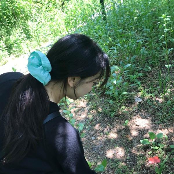 (5st) vintage hair ruffle - peppermint check
