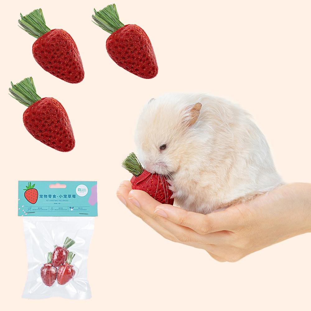 햄스터 간식 딸기 이갈이 장난감 친칠라 기니피그 토끼