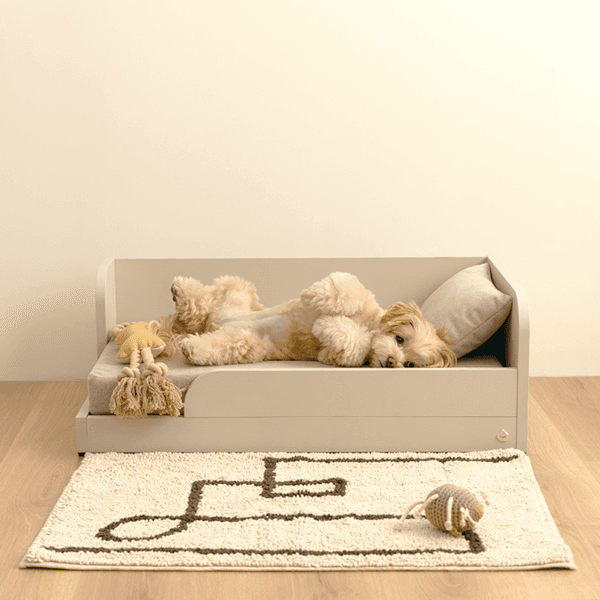 Pet Bed (3 Color)
