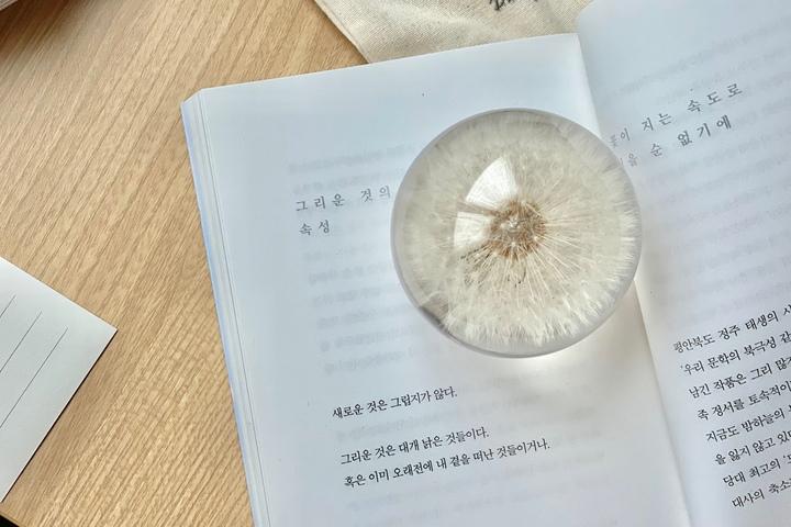 민들레문진 단델리온 페이퍼웨이트 오브제