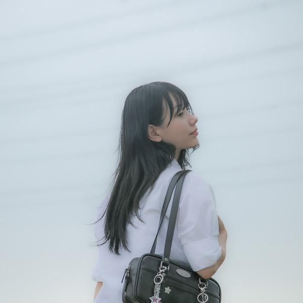 데이라이프 릴리 토트백 (브라운)