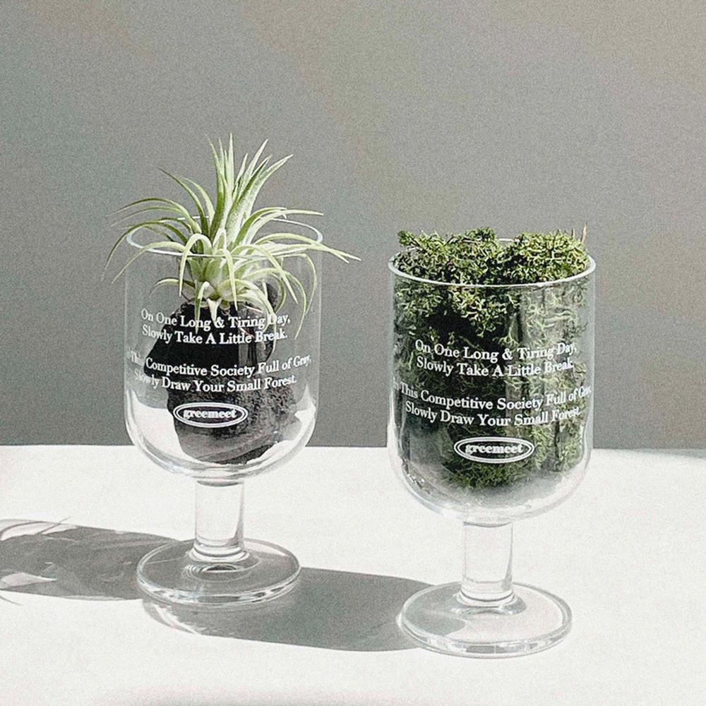 그리밋 틸란 틸란시아 틸란드시아이오난사 스칸디아모스 이끼 플랜테리어 포레스트글래스