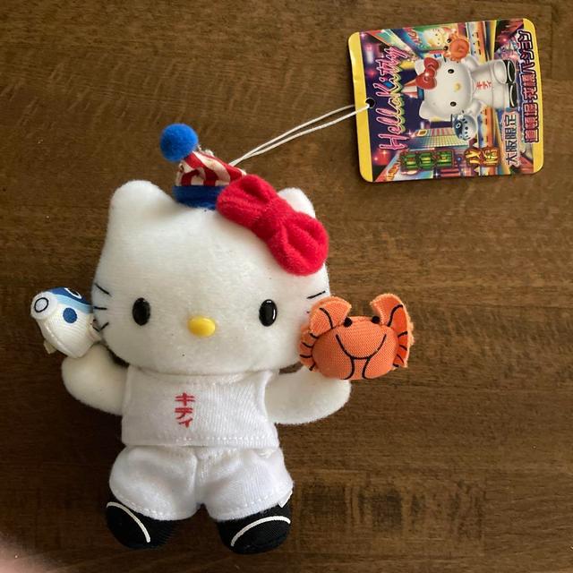 헬로키티 ご当地キティ ぬいぐるみ 富士山限定 - 위시버킷