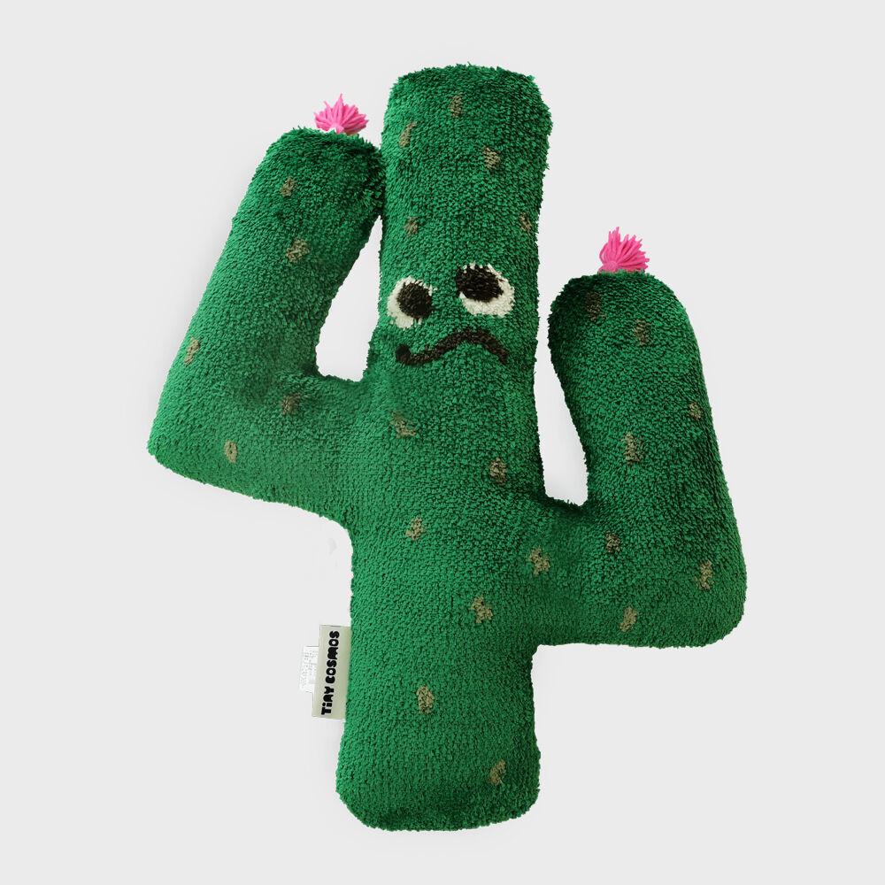 칵투스 자가드 쿠션