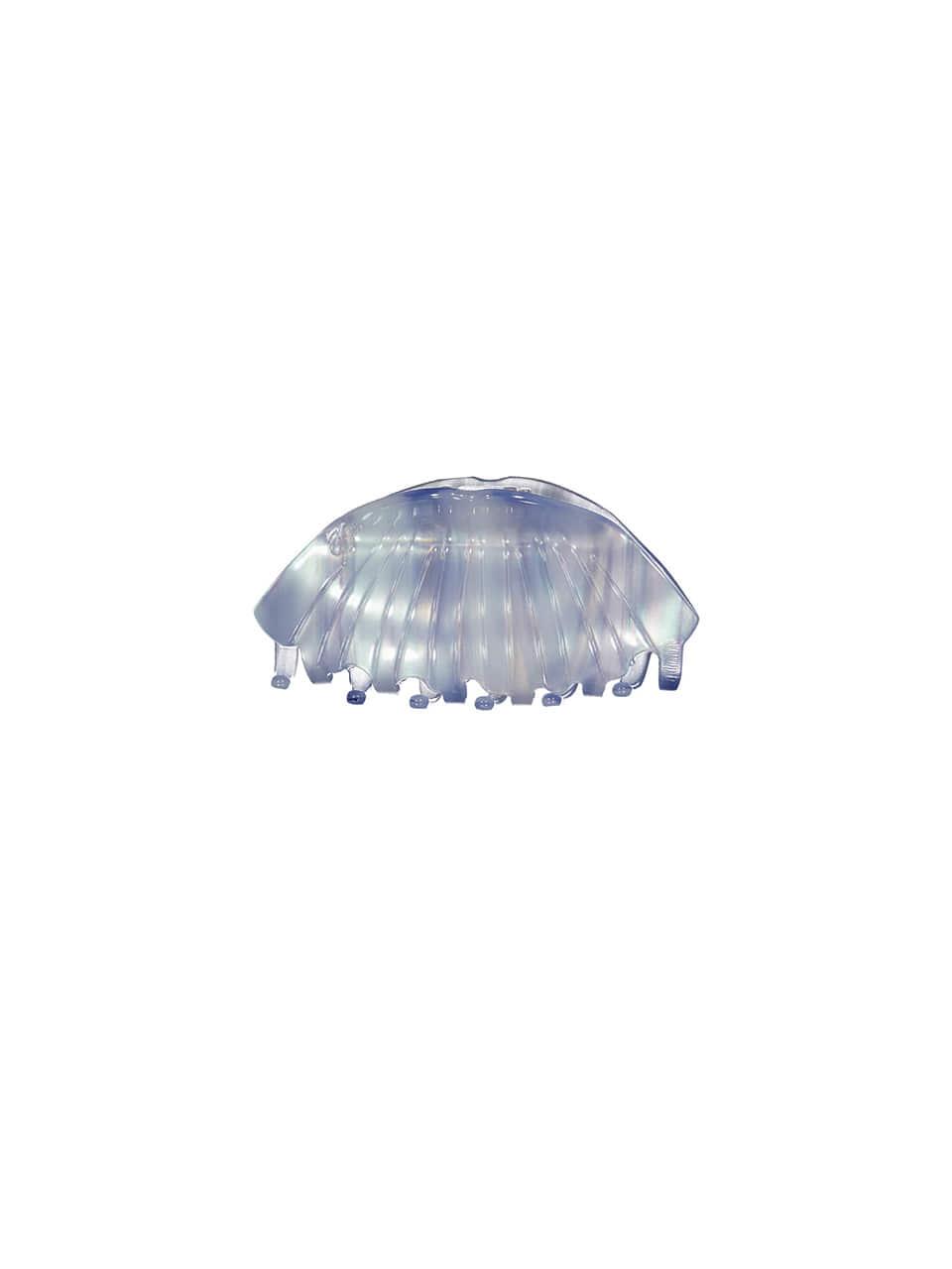 Shell Claw Clip Sky Blue