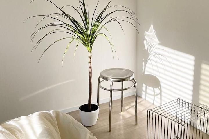 [리퍼] 스테인레스 라운드 스툴