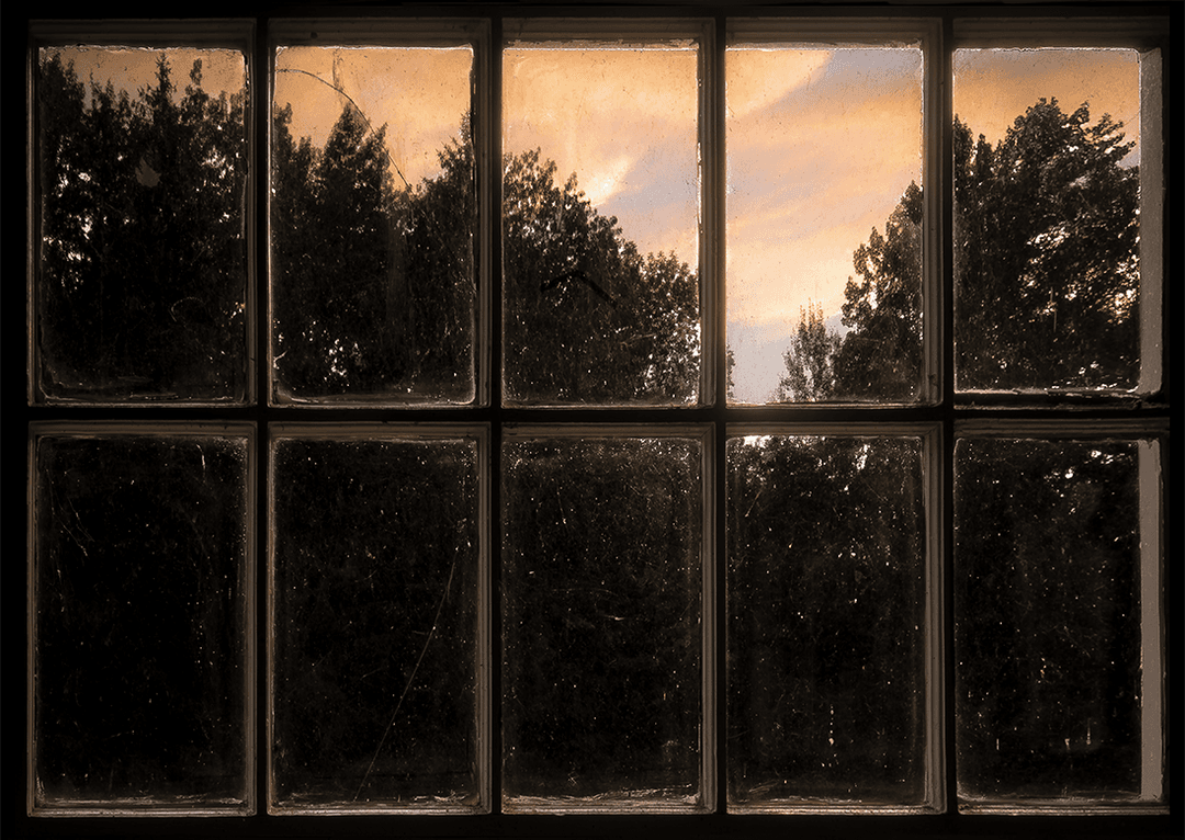 daylight #1