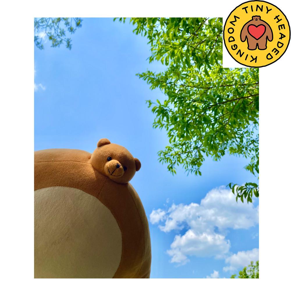 타이니 헤드 킹덤 어깨깡패 곰 소두 인형 15인치 Pip 미국공홈