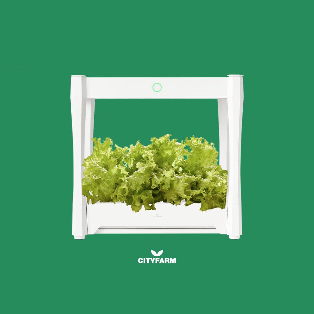 영양제도 필요없는 AI 식물재배기 수경재배기, 시티팜