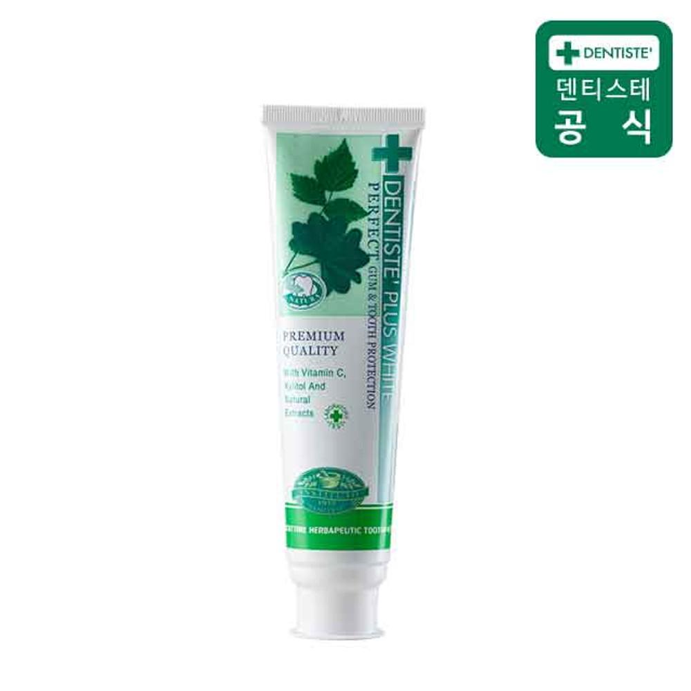 덴티스테 플러스화이트 치약 160g 덴티스테치약 입냄새제거 무불소
