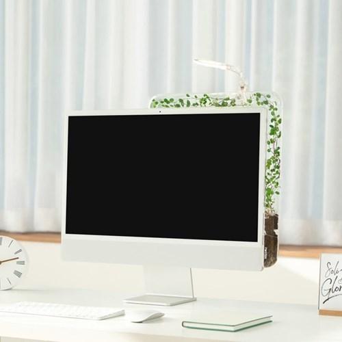 모니터 타고 자라는 넝쿨식물 - Mini 모니트리