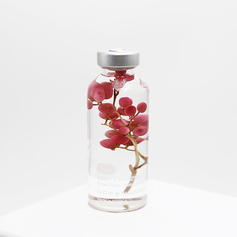 식물표본 30ml_Piper nigrum