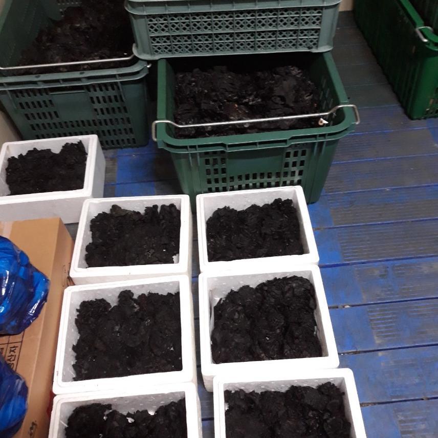 먹버섯  곰버섯 까치버섯