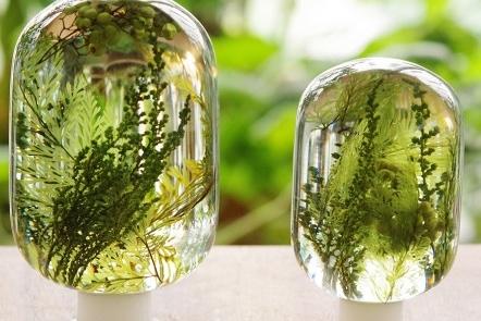 피스오브타임(pieces of time) - 워터플랜트