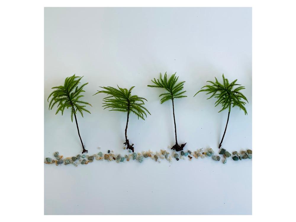 나무이끼 이끼 키우기 테라리움 비바리움 생이끼 모스 만들기 1촉/5촉