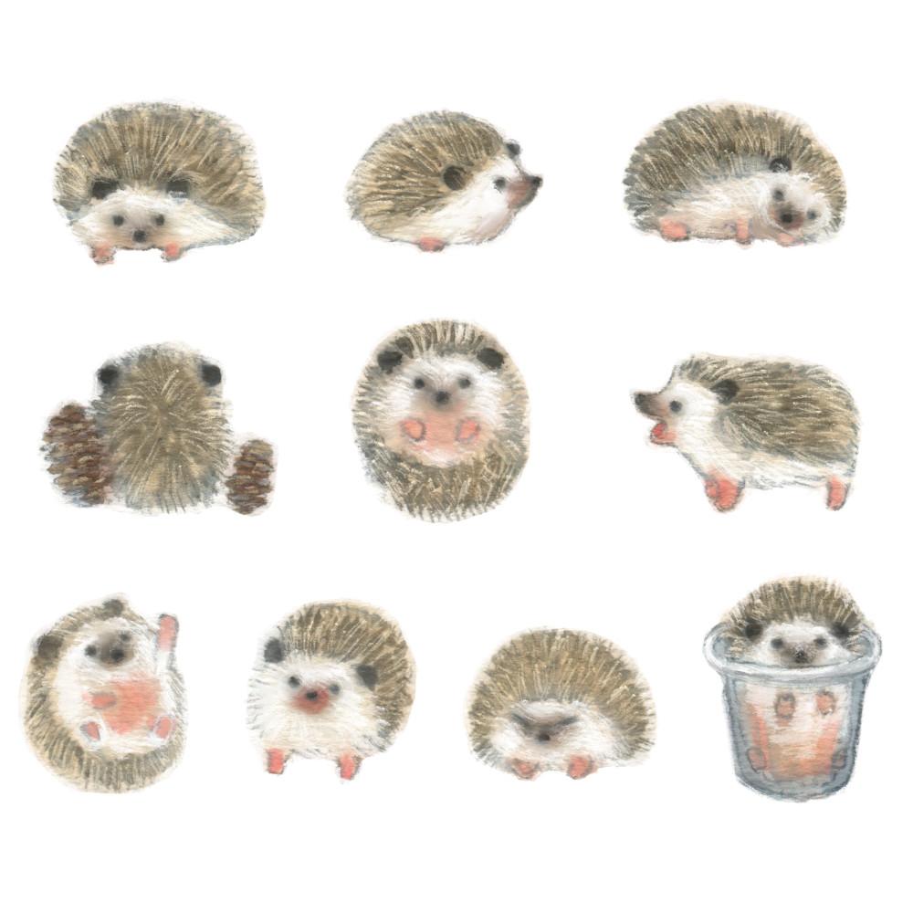 [은민] 고슴도치 스티커
