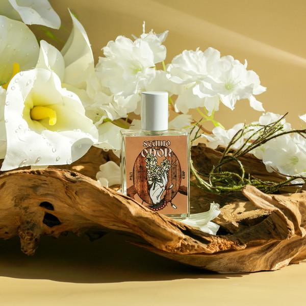 [STUDIO ODOR 스튜디오 오도르] 우드아까시 오 드 퍼퓸 50ML