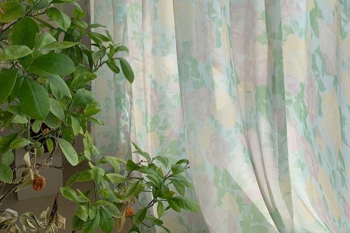 water lily curtain 빈티지 플라워 민트 쉬폰 커튼