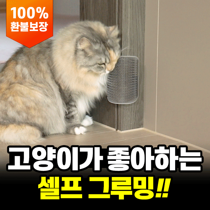 일상공감 부비냥 (4개입)