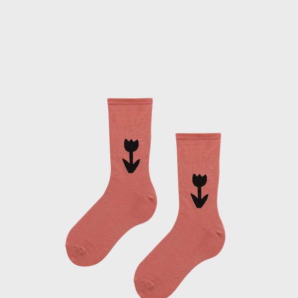 그냥, 튤립 (tulip)