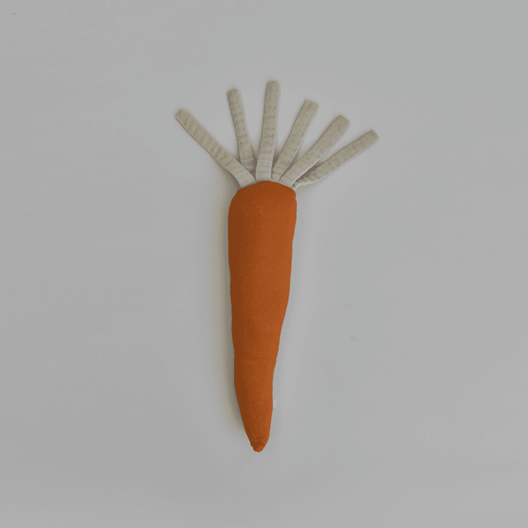 Mini Carrot Cushion