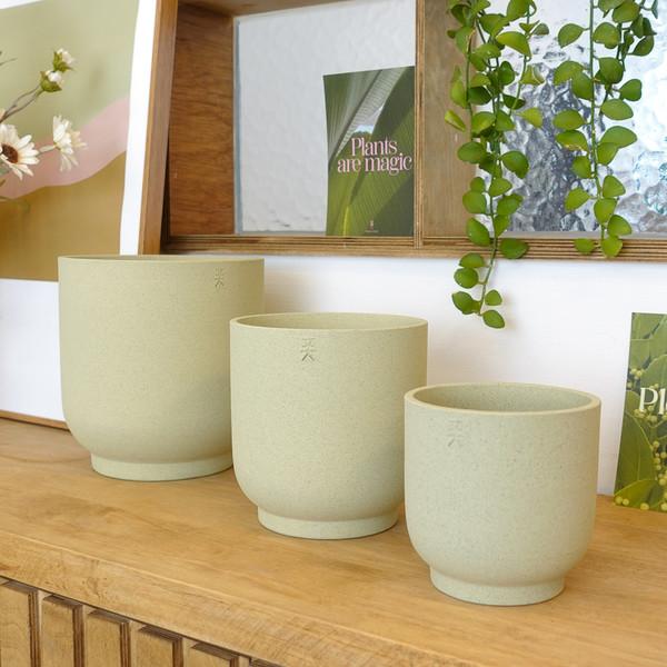 실린더팟 그린티 S, M, L