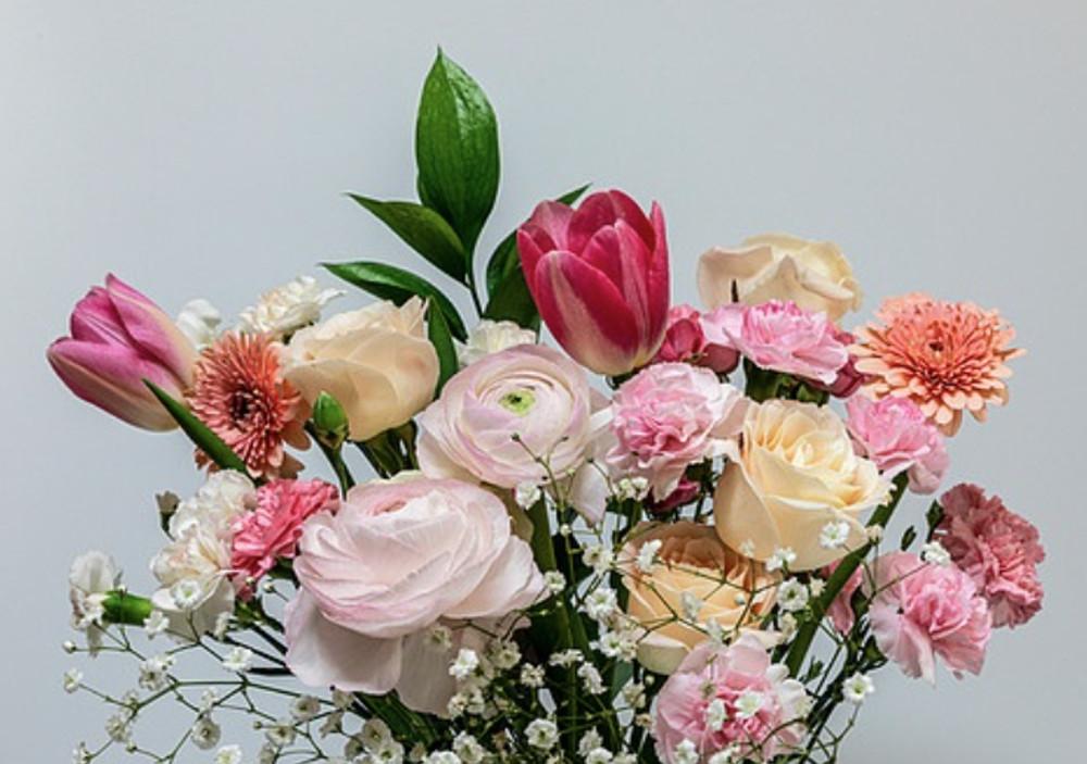 메종드보타닉 생화 꽃정기구독 전국 계절 생화 꽃 배달 택배 배송 심플베이직