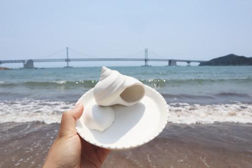 아소토 큰조개 플레이트