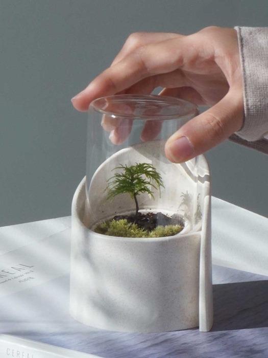 나무이끼 테라리움 귀여운 가드닝키트