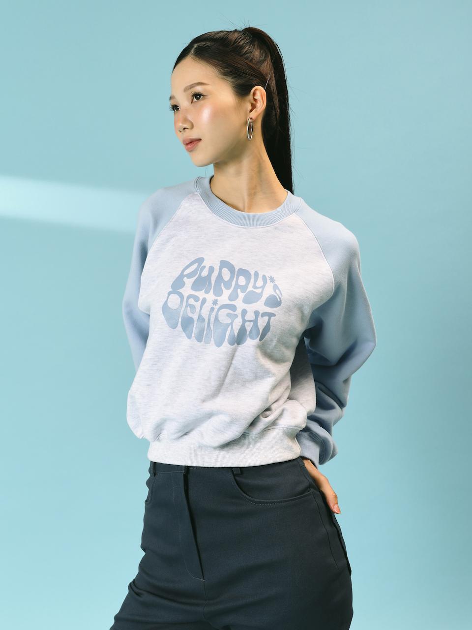 Puppy's delight typo Crop Raglan Sweatshirts heather sky blue