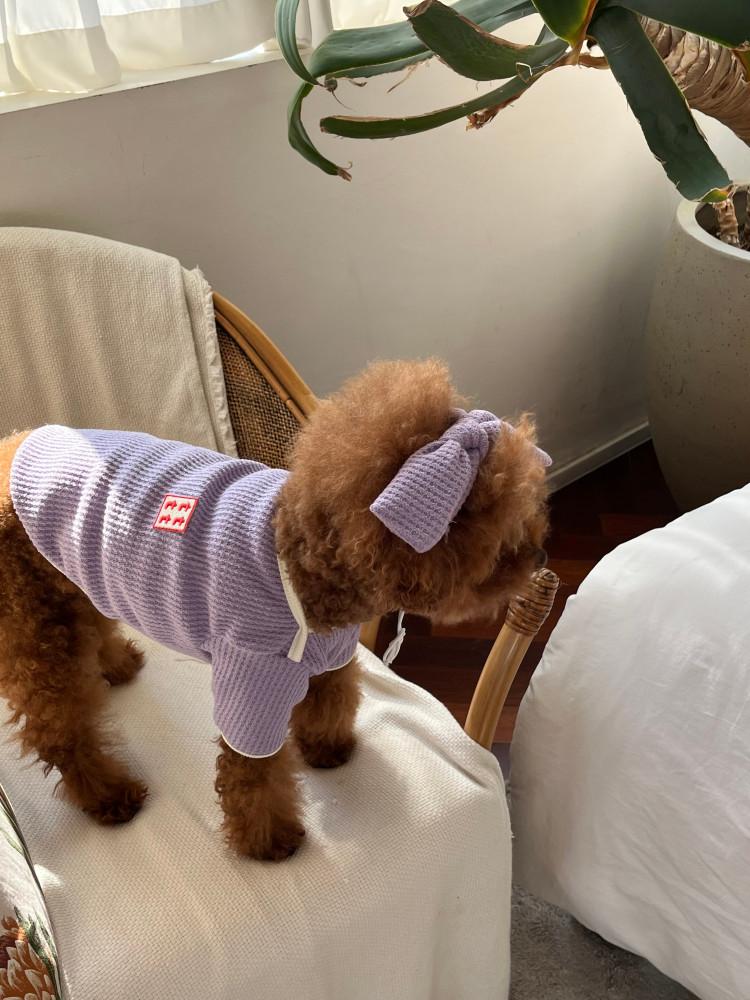 [made제품] 강아지 와플니트 츄러스 와플티 (S-2XL)