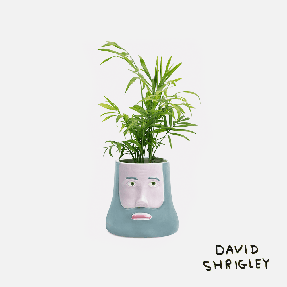 The Philosopher x David Shrigley, 철학자 화병, 데이비드슈리글리