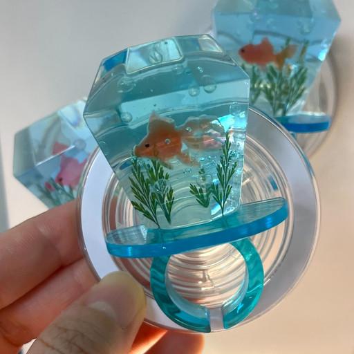 힐링 물멍 금붕어 어항 보석반지톡🍃🫧