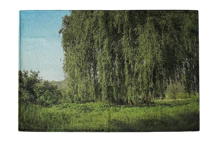 그린 윌로우 초극세사 단모러그