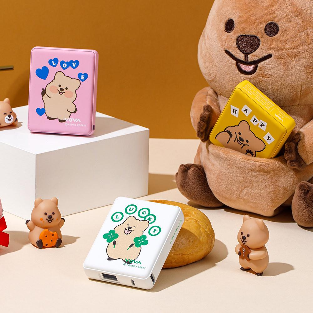 보바X꽃카 고속 무선 충전 맥세이프 보조배터리 10000mAh 22.5W