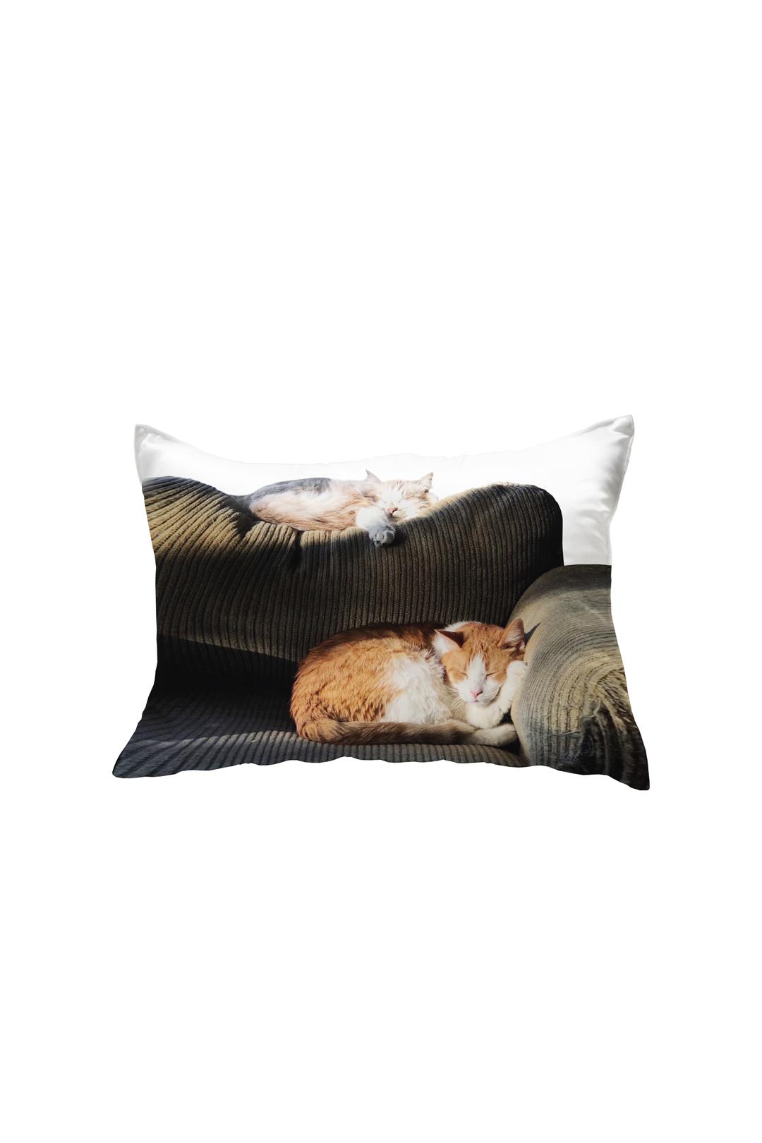 [3월 7일 순차발송] sofa cat pillow cover