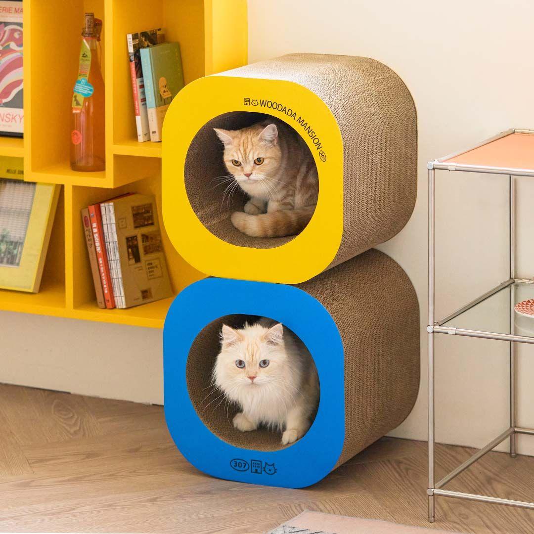 [아듀특가]우다다맨숀 멀티 터널 스크래쳐 옐로우/블루