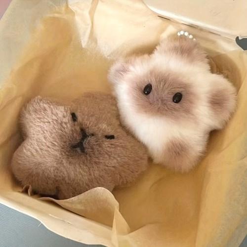 행운 귀여운선물 카피바라 & 별고양이 키링 인형키링