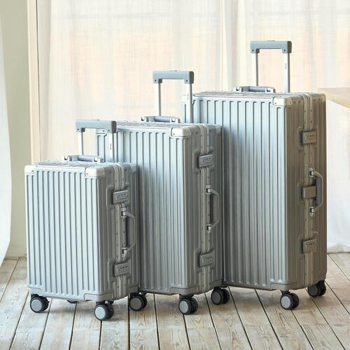 루디크 함부르크 캐리어